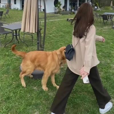 我们的歌第一季